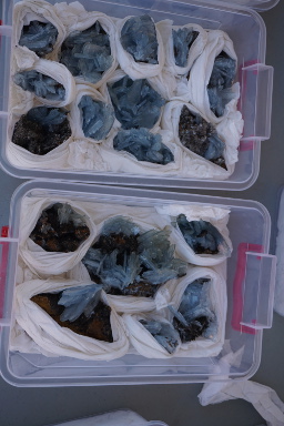 blue barite