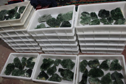 Boxes of fluorite